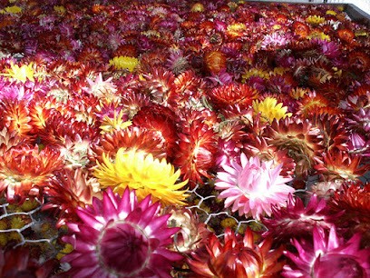 Product'Fleurs, Fleuriste à Romenay