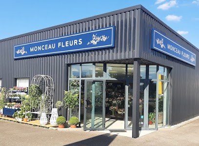Monceau Fleurs Saint Brévin, Fleuriste à Saint-Brevin-les-Pins