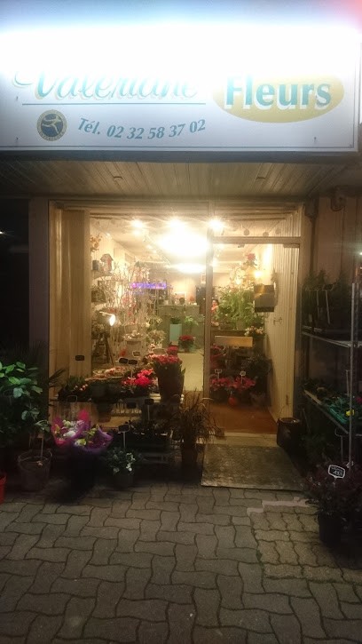 Valériane Fleurs, Fleuriste à Saint-Lubin-des-Joncherets