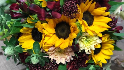 CAPUCINES, Fleuriste à Baulne