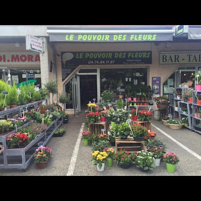 Le Pouvoir Des Fleurs, Fleuriste à Saint-Barthélemy