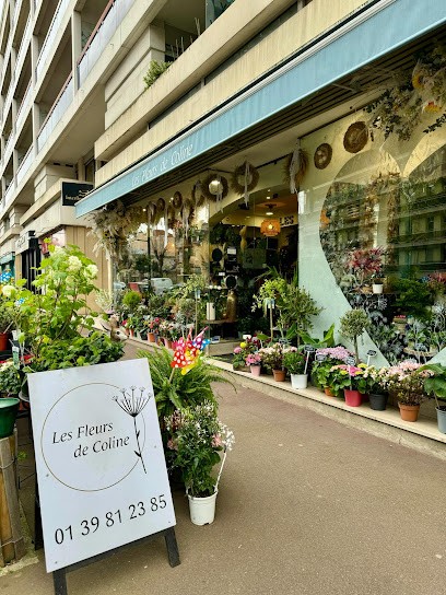 Les Fleurs De Coline, Fleuriste à Sannois
