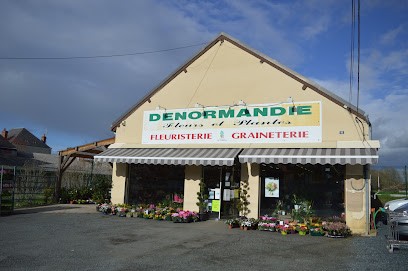 Fleuristerie Graineterie DENORMANDIE, Fleuriste à Neuvy-Saint-Sépulchre