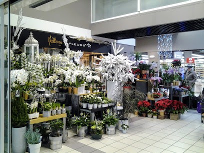 Meilleray Fleurs, Fleuriste à Pornic