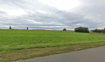 Maison Drost, Fleuriste à Villes