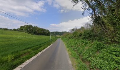 Idoux Anita, Fleuriste à Beaumont-Pied-de-Boeuf
