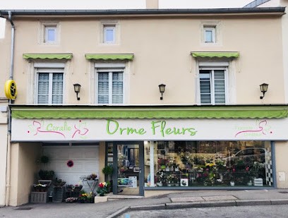 Coralie Orme Fleurs, Fleuriste à Malzéville