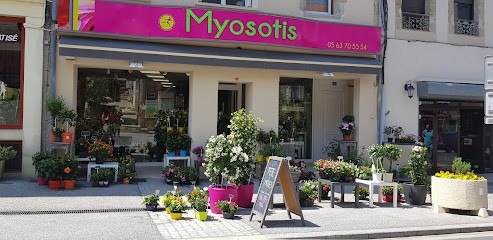 MYOSOTIS, Fleuriste à Puylaurens
