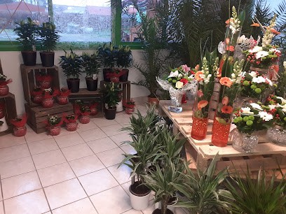 Hop Fleurs, Fleuriste à Merris