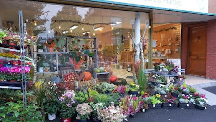 Esprit Nature Jeumont, Fleuriste à Jeumont