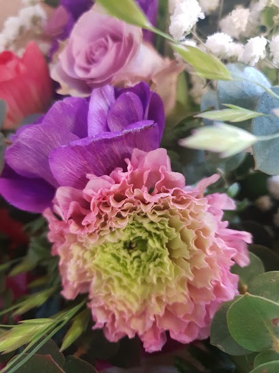 Génération Fleurs, Fleuriste à Trélissac