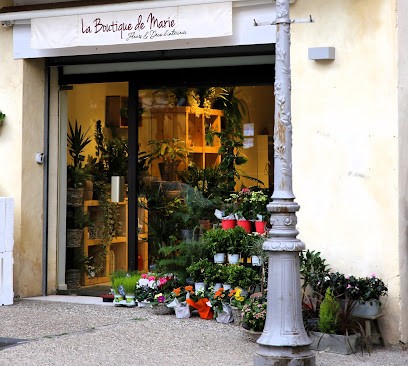 La boutique de Marie, Fleuriste à Pézenas