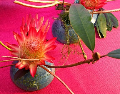 Moribana, Fleuriste à Faches-Thumesnil