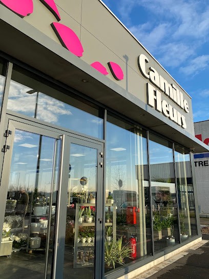 Camille Fleurs Illies, Fleuriste à Illies