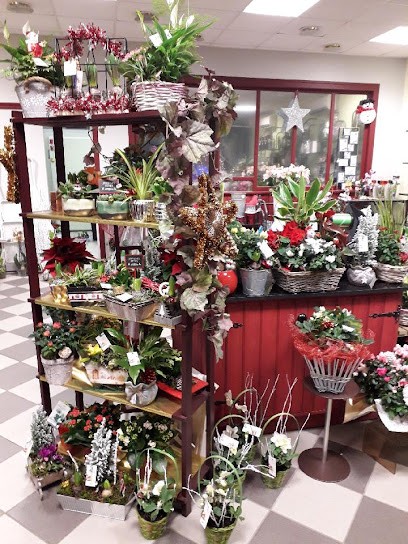 Moratille Pascale, Fleuriste à Treignac