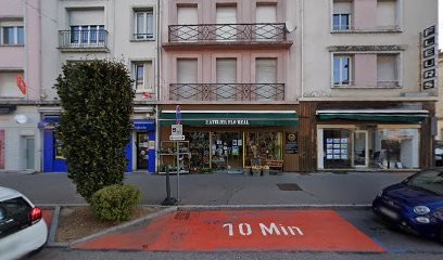 Brin de nature, Fleuriste à Charmes