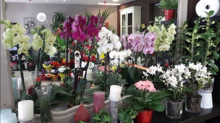 l'Atelier de Nicolas, Fleuriste à Marsillargues