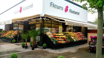 Fleurs Ô Naturel, Fleuriste à Rezé