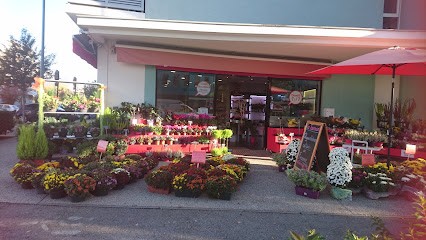 Fleurs Bonheur, Fleuriste à Échirolles