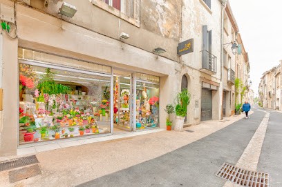 Esteve Sophie, Fleuriste à Pignan