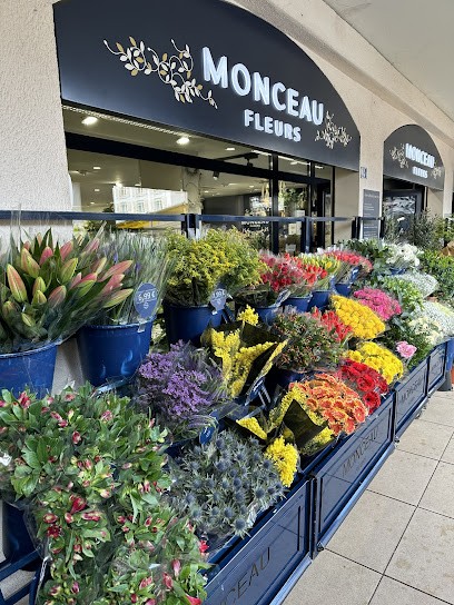 Monceau Fleurs Garches, Fleuriste à Garches