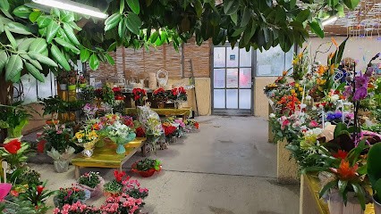 La Roseraie Monsonis Mouriès, Fleuriste à Mouriès