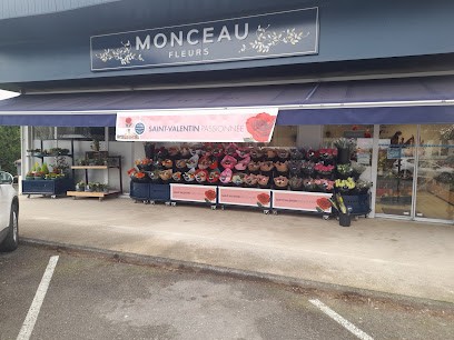 Monceau Fleurs Talant, Fleuriste à Talant