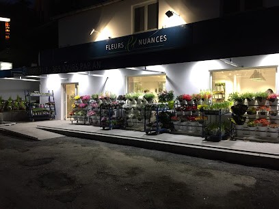 Fleurs Et Nuances, Fleuriste à Limoux