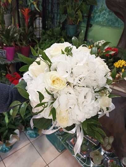 Lionel Carron Fleuriste, Fleuriste à Plaisir