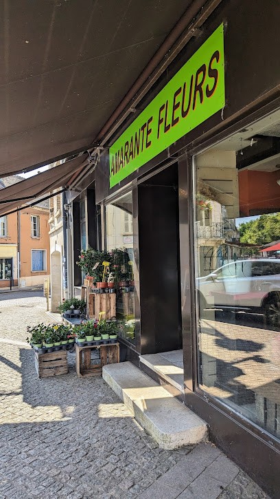 Amarante Fleurs, Fleuriste à Toucy