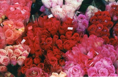 Floribelle, Fleuriste à Marseille 09