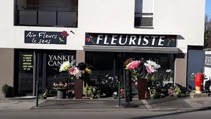 Ain Fleurs et Sens, Fleuriste à Mionnay