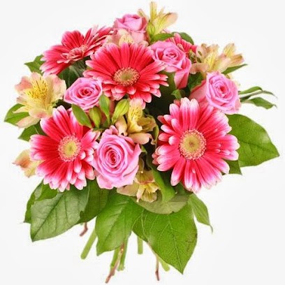 Aurore Fleurs, Fleuriste à Lignan-sur-Orb