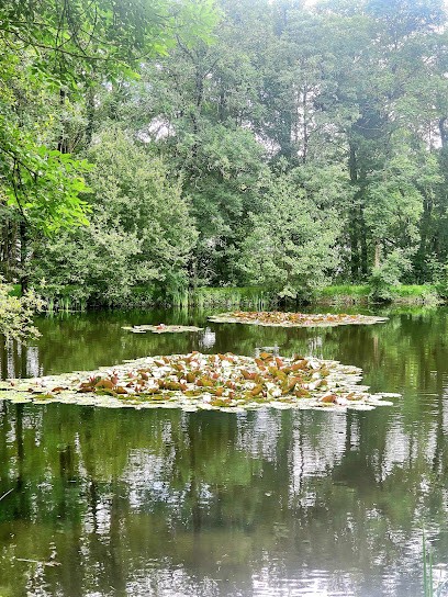 Par Nature, Fleuriste à Saint-Révérend