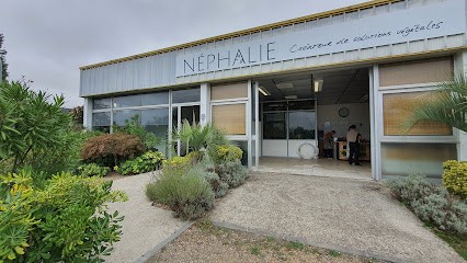Néphalie, Fleuriste au Rheu