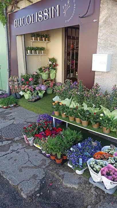 Bucolissim, Fleuriste à Sancerre