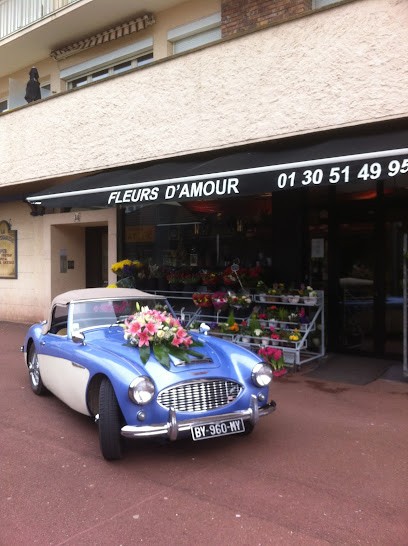 Fleurs d'amour, Fleuriste à Maurepas