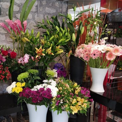 Églantine, Fleuriste à Questembert