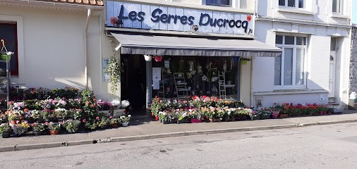 Serres Ducrocq, Fleuriste à Boulogne-sur-Mer