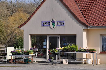 AUX IRIS Sabine Dhalleine, Fleuriste à Merck-Saint-Liévin