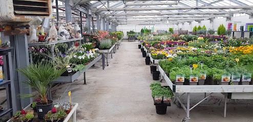 Houssaye Fleurs, Fleuriste à Touques