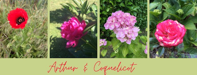 Arthur et Coquelicot, Fleuriste à La Milesse