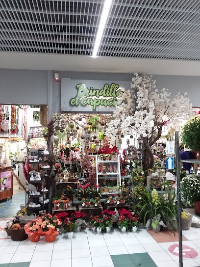 Brindille Et Capucine, Fleuriste à Condé-sur-Sarthe