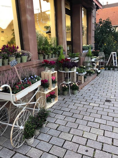 Agave Artisan Fleuriste, Fleuriste à Hoerdt