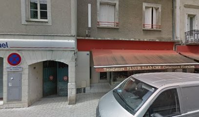 Lejoly Aline, Fleuriste au Lion-d'Angers