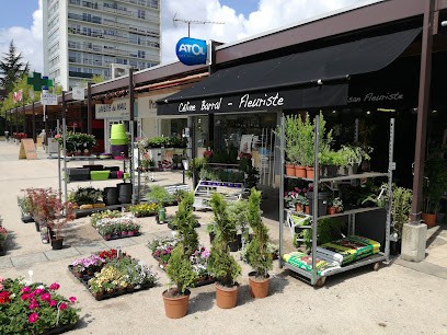 Fleuriste Céline Barral, Fleuriste à Vélizy-Villacoublay