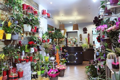 Fleuriste Le Bourg'eon, Fleuriste à Bourg-de-Péage