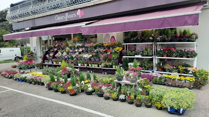 Cœur De Fleurs, Fleuriste à Saint-Laurent-de-Mure