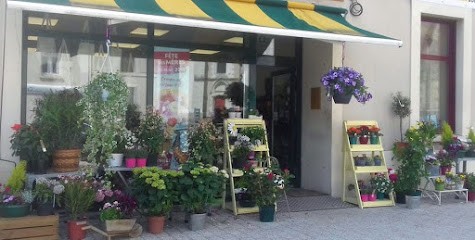 L'Ange Fleuri, Fleuriste à Val d'Erdre-Auxence