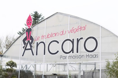 Maison Haas, Fleuriste au Neubourg